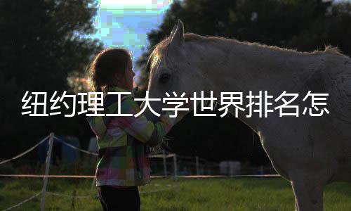 纽约理工大学世界排名怎么样？