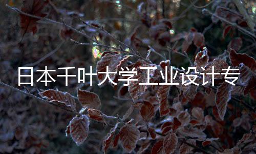日本千叶大学工业设计专业解析