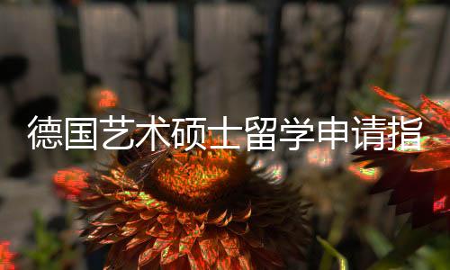 德国艺术硕士留学申请指南！
