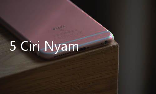 5 Ciri Nyamuk Penyebab DBD, Tak Sama dengan Nyamuk Lain