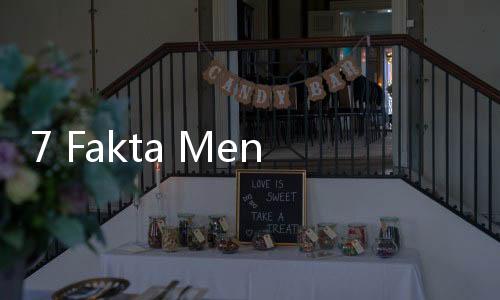 7 Fakta Menarik Tentang Ketupat: Sudah Ada Sejak Abad 15