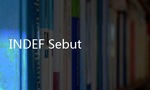 INDEF Sebut Program Makan Bergizi Gratis Dorong Ekonomi UMKM
