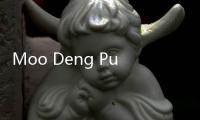 Moo Deng Punya Saingan, Eva Si Harimau Emas Tak Kalah Menggemaskan