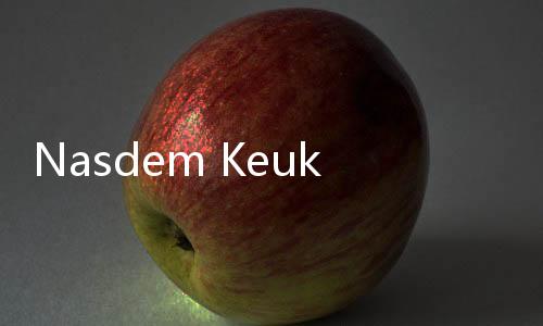Nasdem Keukueh Tak Mau Mundur dari Kabinet Jokowi, Sempat Disinggung Elite PDIP Soal Sikap 'Gentle'