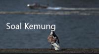Soal Kemungkinan NasDem Bergabung dengan KIM, Ini Kata Idrus Marham