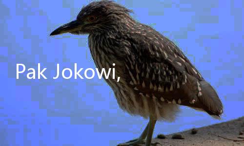 Pak Jokowi, Jangan Lupa Utang Mata Novel Baswedan, Segera Lunasi!